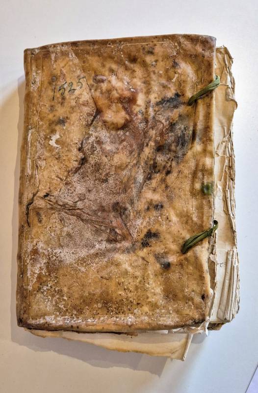 Tafel van de Heilige Geest (7) - Heemkring Ter Ham Steenokkerzeel 
